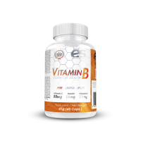 VITAMINA B